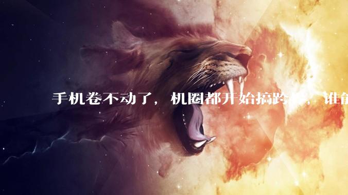 手机卷不动了，机圈都开始搞跨界，谁能干成第二个 “ 小米 ” ？_vivo_产品_胡润